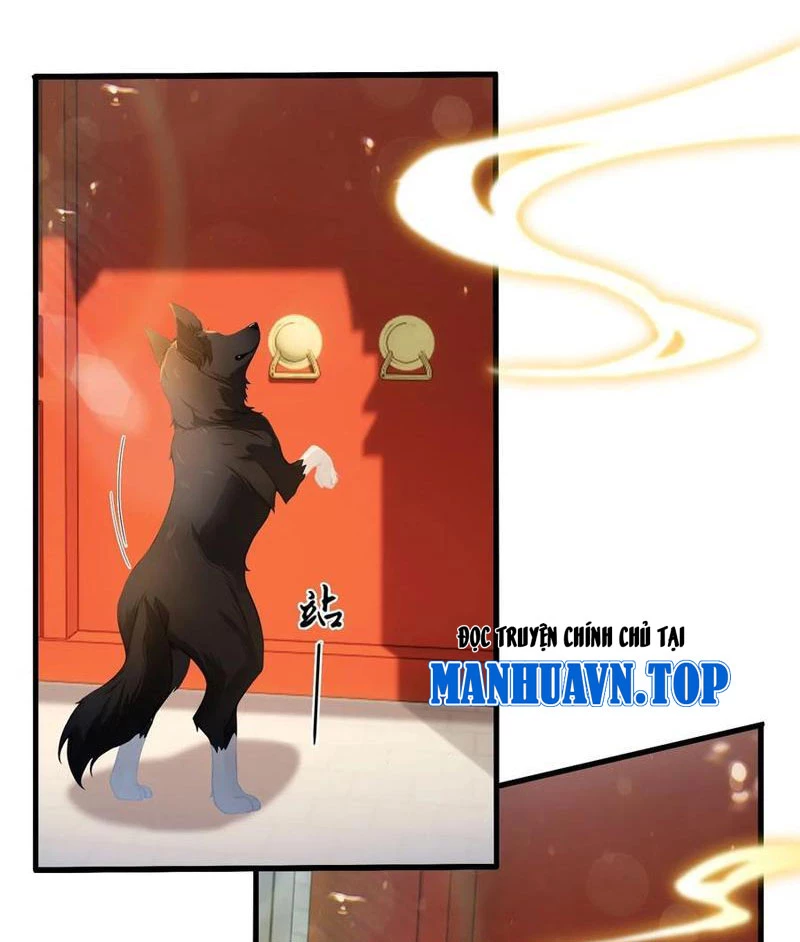 Hoá Ra Ta Đã Vô Địch Từ Lâu Chapter 179 - Trang 4