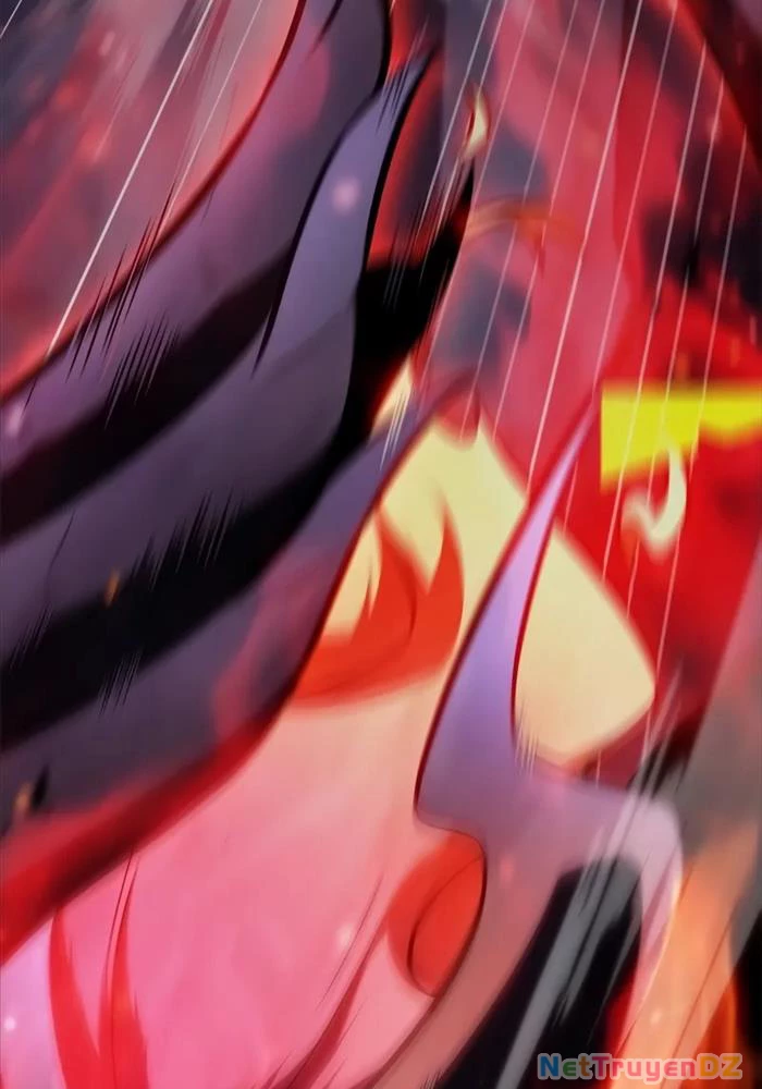 Người Chơi Mới Cấp Tối Đa Chapter 174 - Trang 4