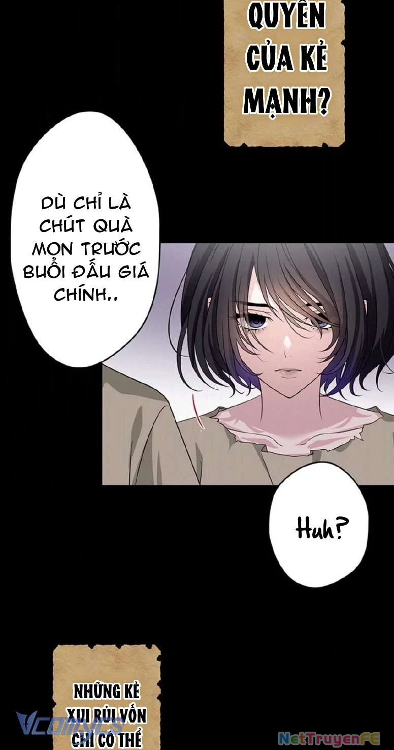 Sát Thủ Huyền Thoại Tái Sinh Thành Tiểu Thư Được Sủng Ái Của Hoàng Gia. Chapter 1 - Trang 2