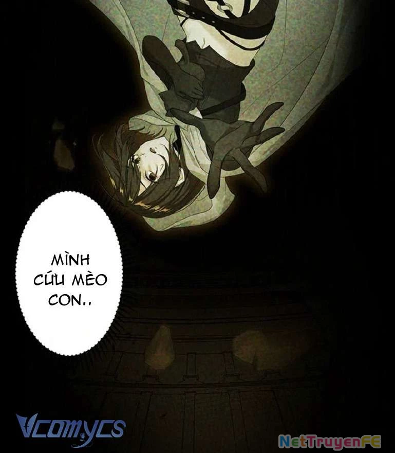 Sát Thủ Huyền Thoại Tái Sinh Thành Tiểu Thư Được Sủng Ái Của Hoàng Gia. Chapter 1 - Trang 2