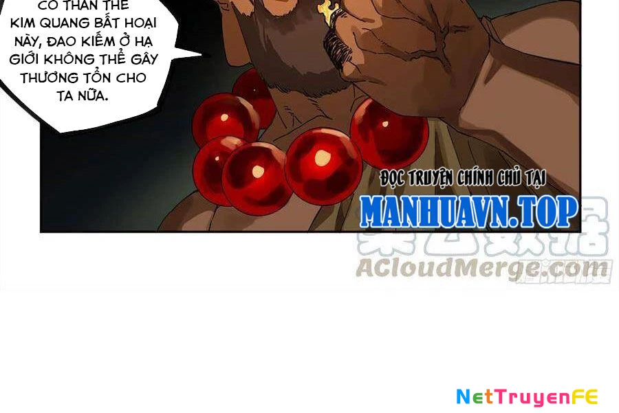 Truyền Võ Chapter 252 - Trang 4