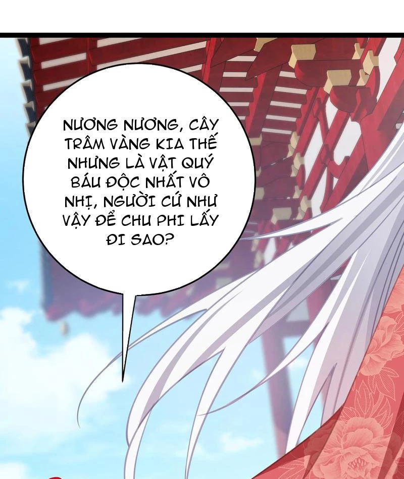 Phá thân của nữ Hoàng Đế Chapter 12 - Trang 3