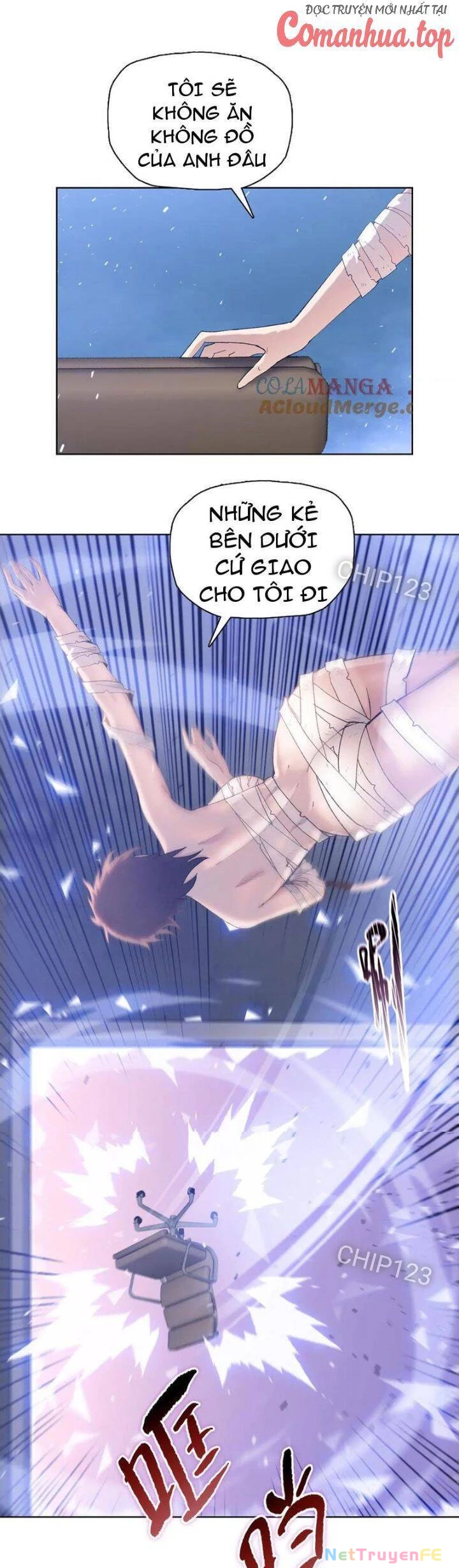 Kẻ Tàn Nhẫn Ngày Tận Thế: Bắt Đầu Dự Trữ Hàng Tỷ Tấn Vật Tư Chapter 27 - Trang 2