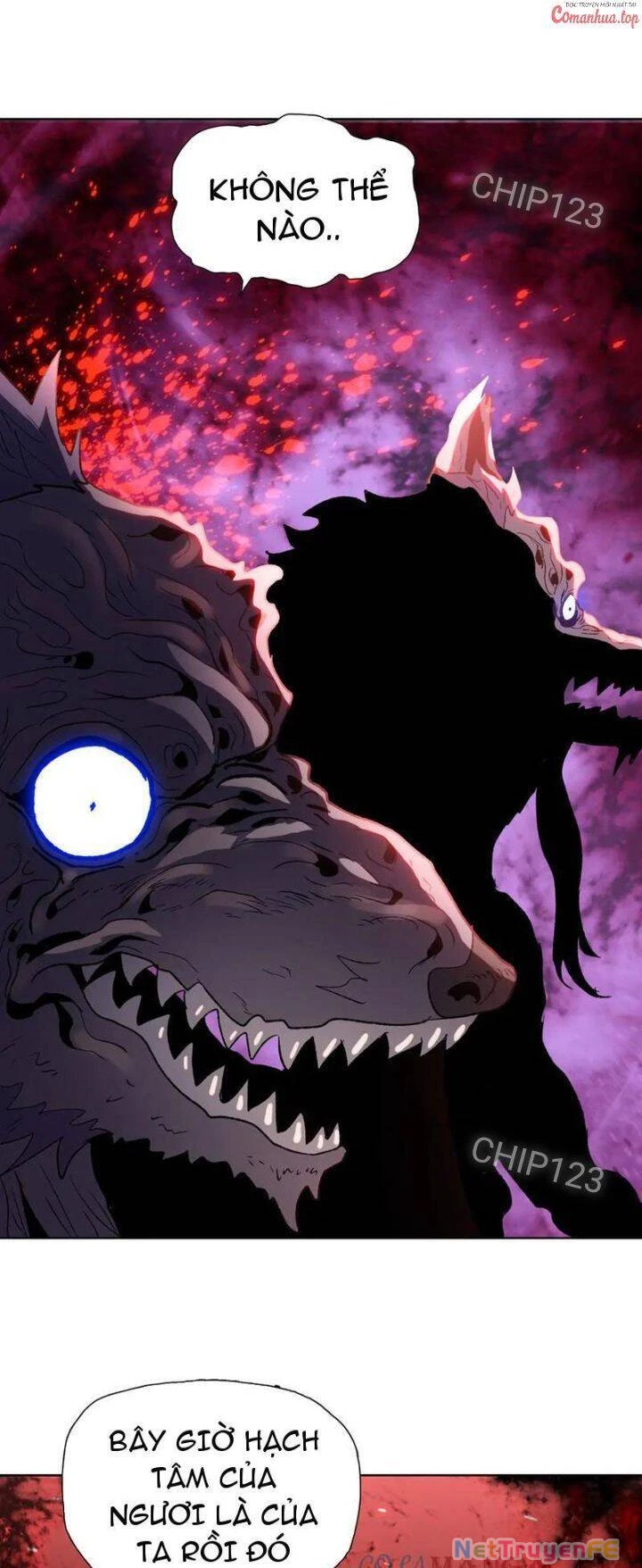 Kẻ Tàn Nhẫn Ngày Tận Thế: Bắt Đầu Dự Trữ Hàng Tỷ Tấn Vật Tư Chapter 27 - Trang 2