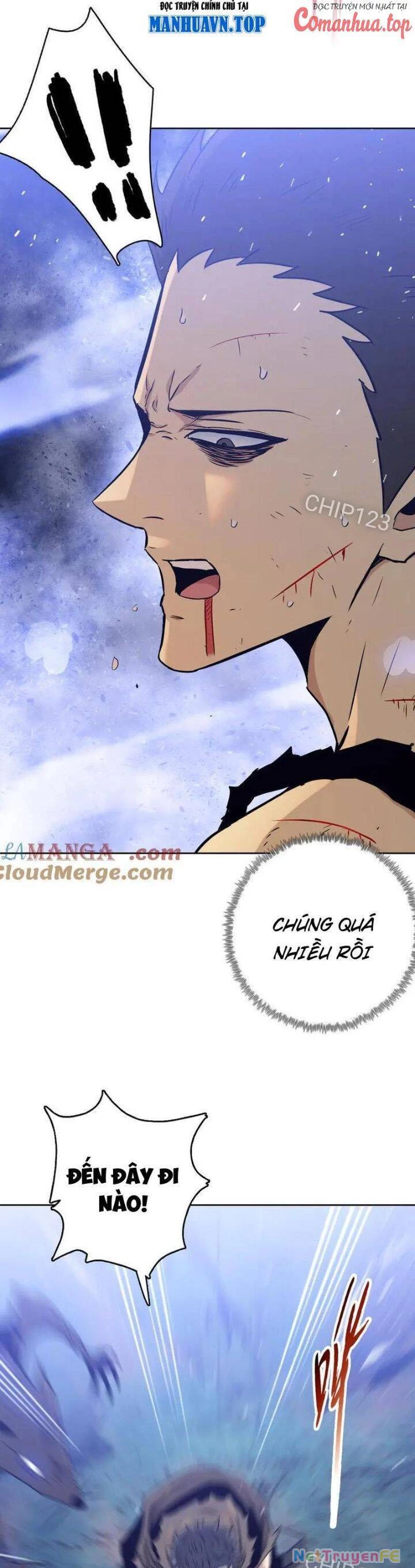 Kẻ Tàn Nhẫn Ngày Tận Thế: Bắt Đầu Dự Trữ Hàng Tỷ Tấn Vật Tư Chapter 28 - Trang 2