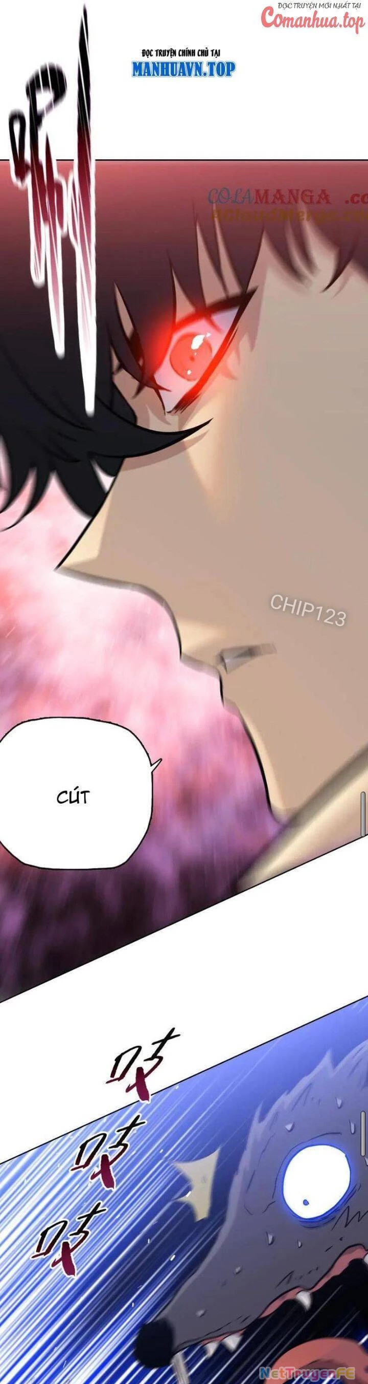 Kẻ Tàn Nhẫn Ngày Tận Thế: Bắt Đầu Dự Trữ Hàng Tỷ Tấn Vật Tư Chapter 28 - Trang 2