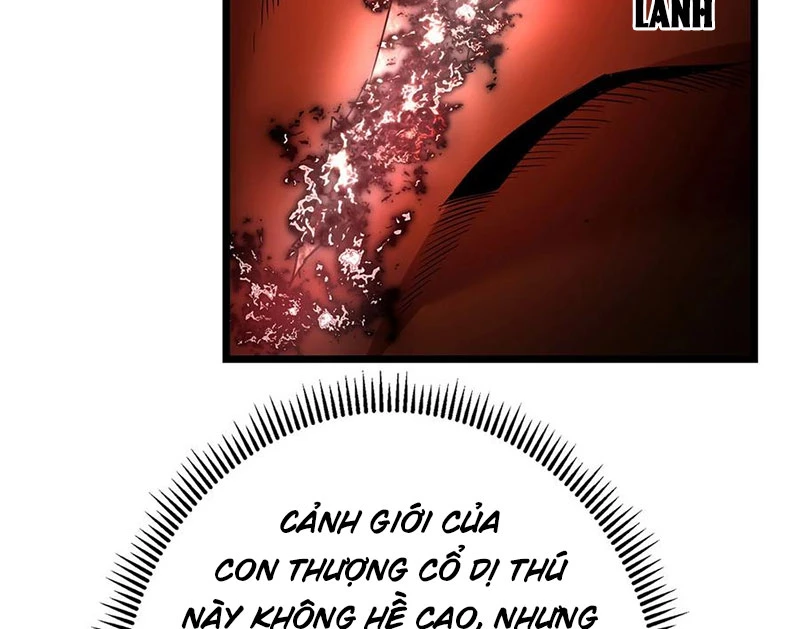 Chưởng Môn Khiêm Tốn Chút Chapter 422 - Trang 4