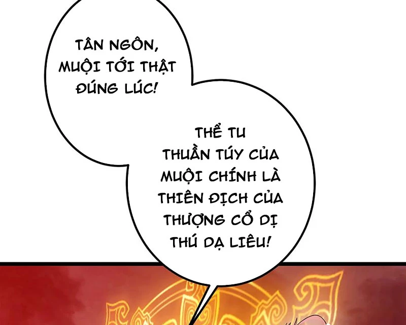 Chưởng Môn Khiêm Tốn Chút Chapter 422 - Trang 4