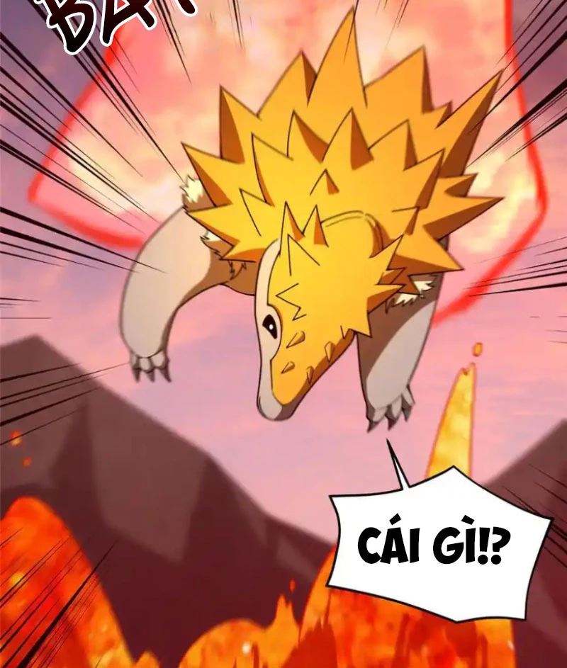 Thần Sủng Tiến Hóa Chapter 347 - Trang 4