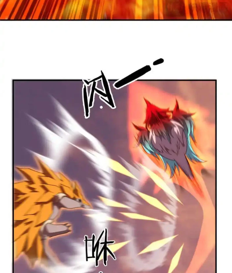 Thần Sủng Tiến Hóa Chapter 347 - Trang 4