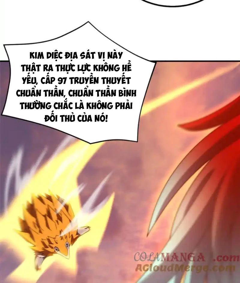 Thần Sủng Tiến Hóa Chapter 347 - Trang 4