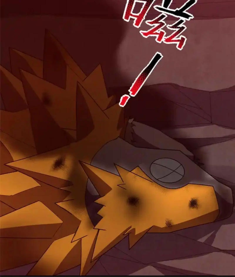 Thần Sủng Tiến Hóa Chapter 347 - Trang 4