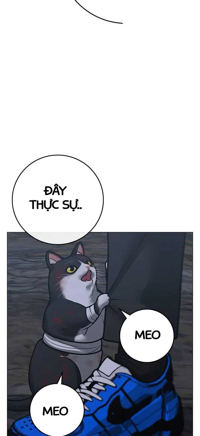 Nhiệm Vụ Đời Thật Chapter 134 - Next Chapter 135