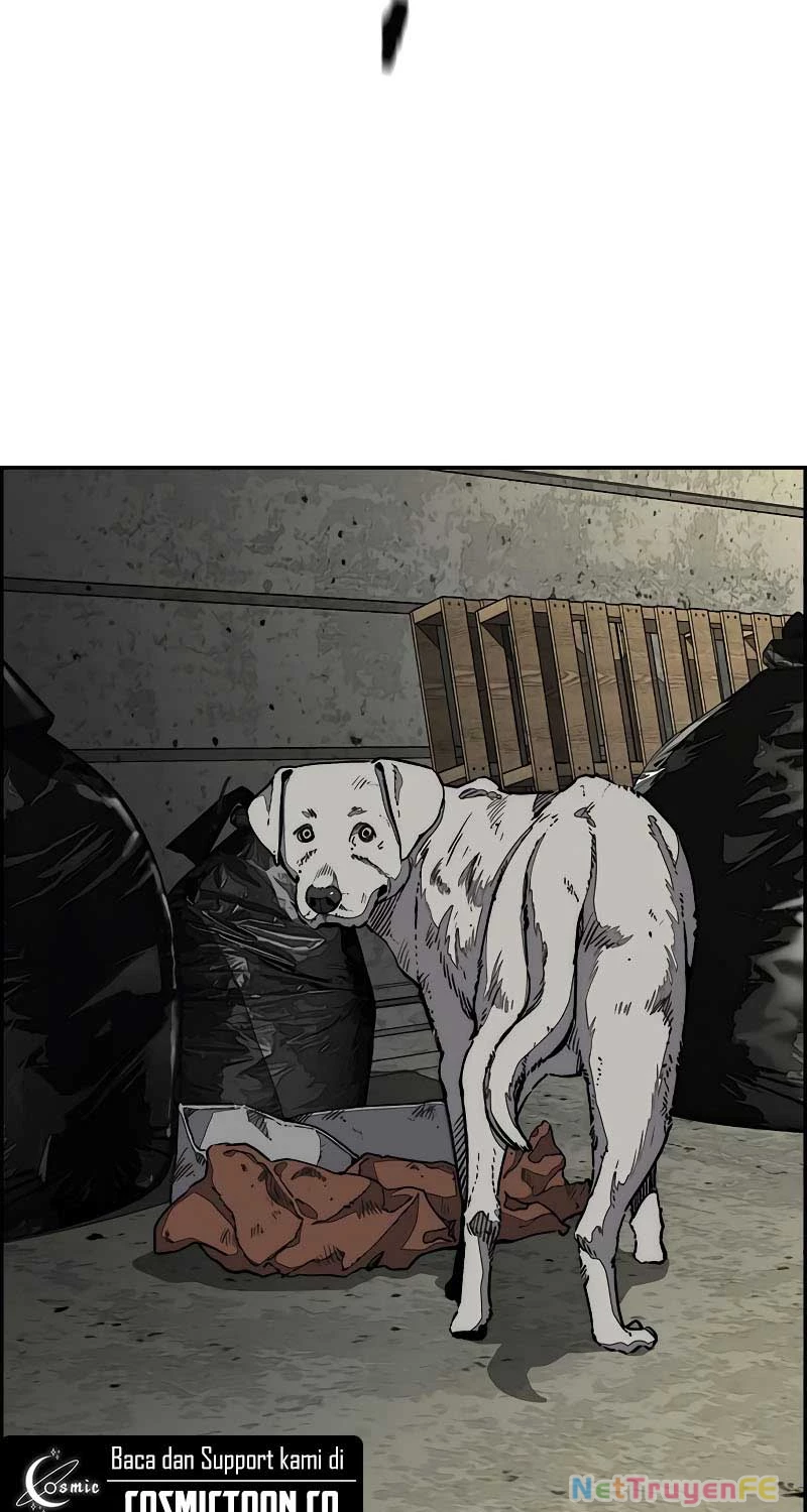 Thể Thao Cực Hạn Chapter 518 - Trang 4