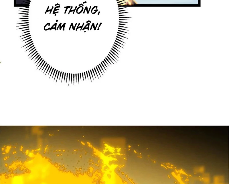 Chưởng Môn Khiêm Tốn Chút Chapter 423 - Trang 4