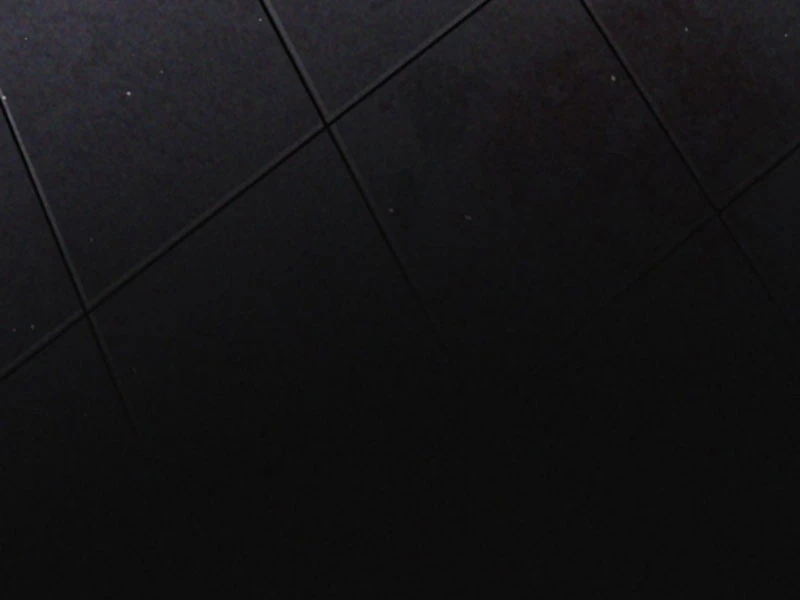 Mạt thế cầu sinh: Ta có thể nhìn thấy ẩn tàng hệ thống Chapter 3 - Trang 3