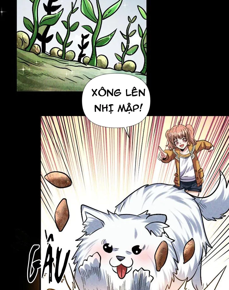 Mạt thế cầu sinh: Ta có thể nhìn thấy ẩn tàng hệ thống Chapter 33 - Trang 3