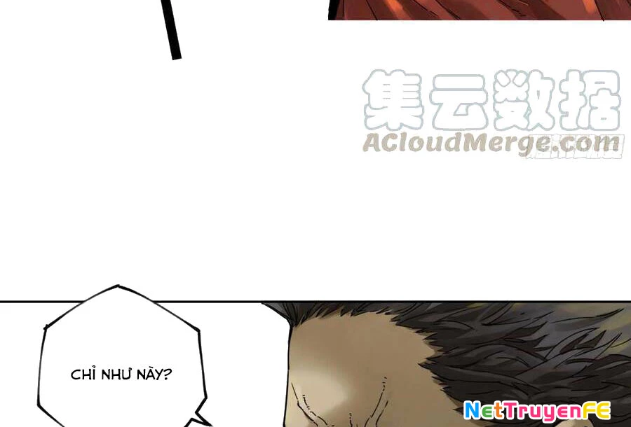 Truyền Võ Chapter 256 - Trang 4