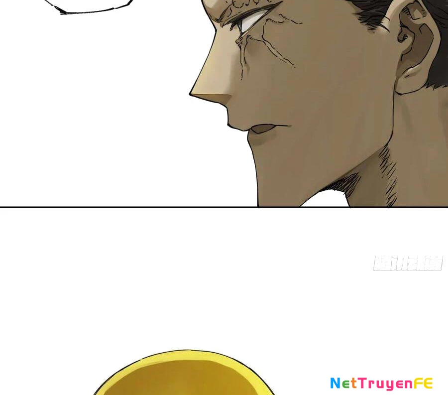 Truyền Võ Chapter 256 - Trang 4