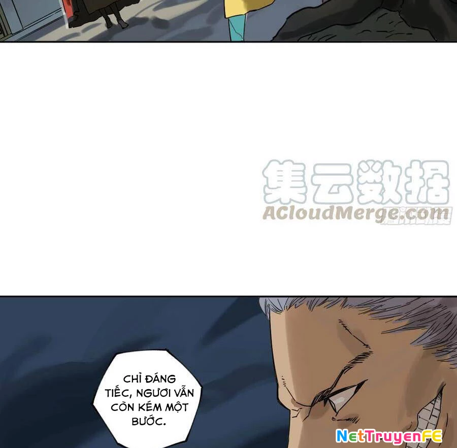 Truyền Võ Chapter 256 - Trang 4