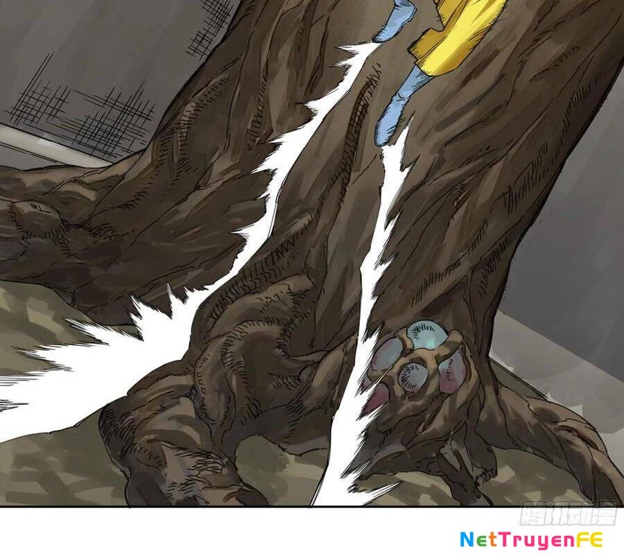 Truyền Võ Chapter 256 - Trang 4