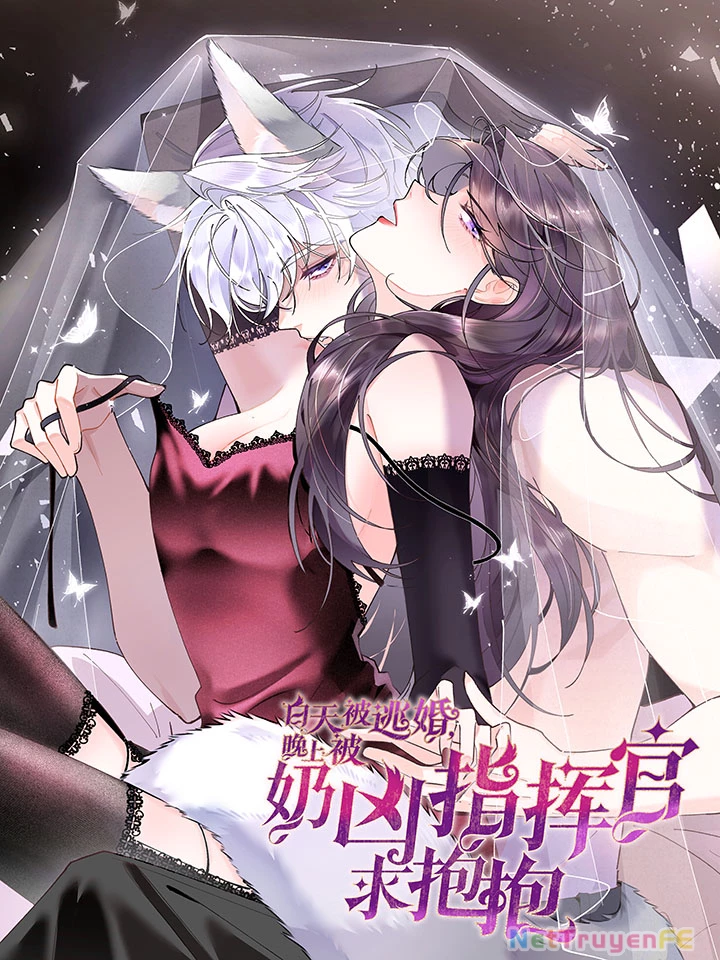 Ban Ngày Bị Hủy Hôn, Buổi Tối Bị Chỉ Huy Vừa Đáng Yêu Vừa Hung Dữ Đòi Ôm. Chapter 0 - Trang 3