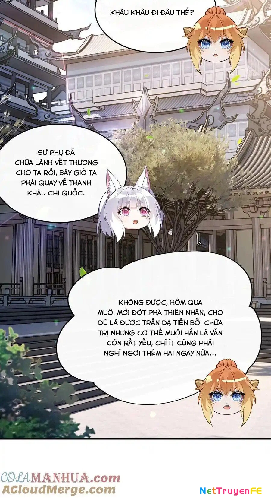 Các Nữ Đồ Đệ Của Ta Đều Là Chư Thiên Đại Lão Tương Lai Chapter 241 - Trang 4