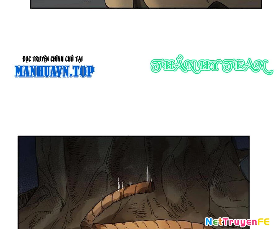 Truyền Võ Chapter 257 - Trang 4