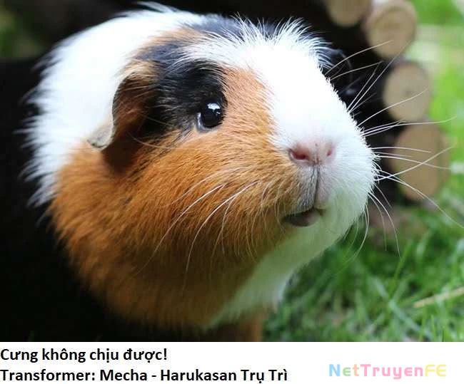 Ngay Cả Khi Hậu Tận Thế, Thật Hạnh Phúc Vẫn Còn Được Sống… Chapter 18.3 - Trang 2