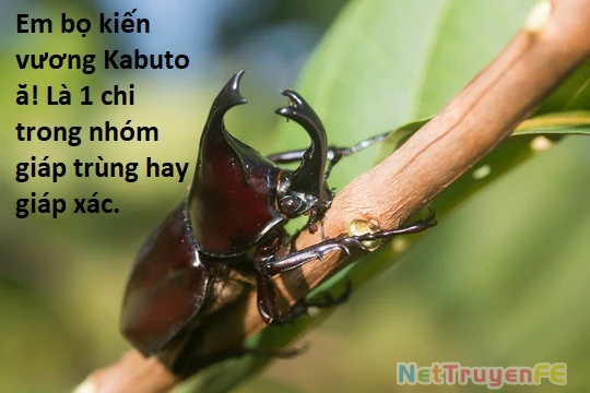 Ngay Cả Khi Hậu Tận Thế, Thật Hạnh Phúc Vẫn Còn Được Sống… Chapter 41.2 - Trang 2