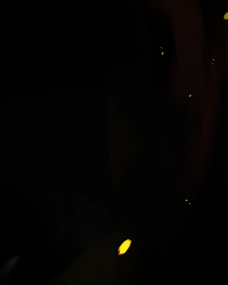 Đồ đệ ta đều là vô địch đại yêu Chapter 1 - Trang 2