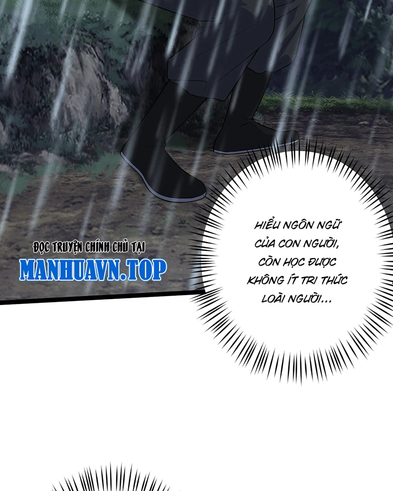 Đồ đệ ta đều là vô địch đại yêu Chapter 2 - Trang 2