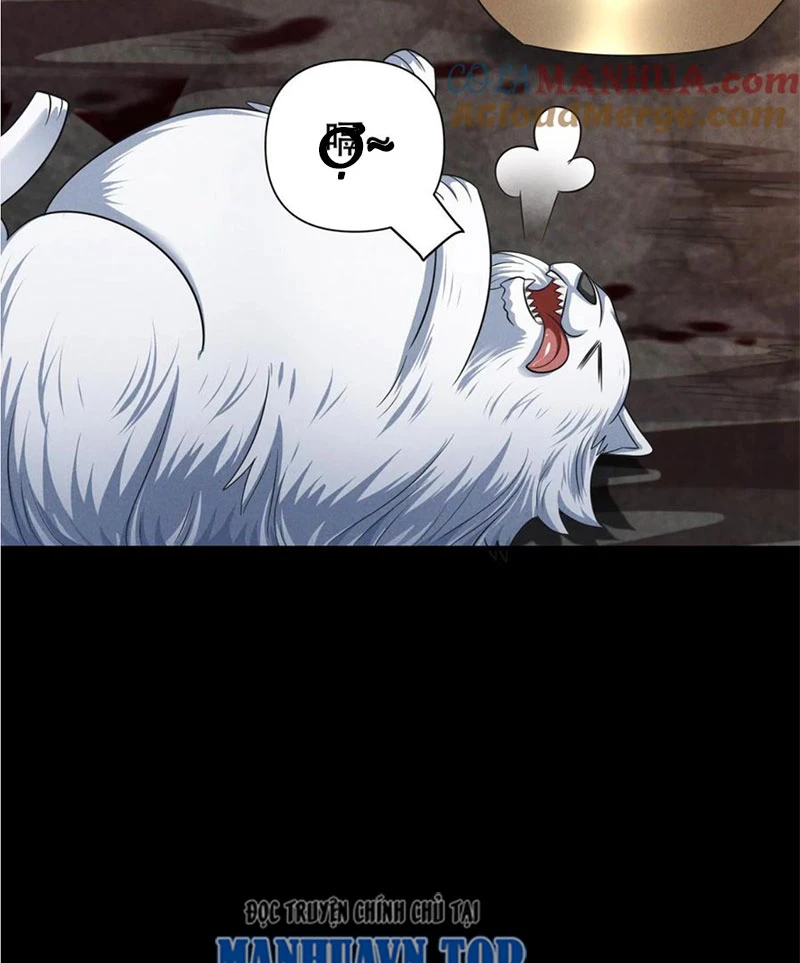 Mạt thế cầu sinh: Ta có thể nhìn thấy ẩn tàng hệ thống Chapter 79 - Trang 3