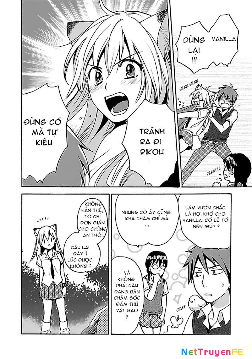 Come Come Vanilla! Chapter 5 - Trang 3