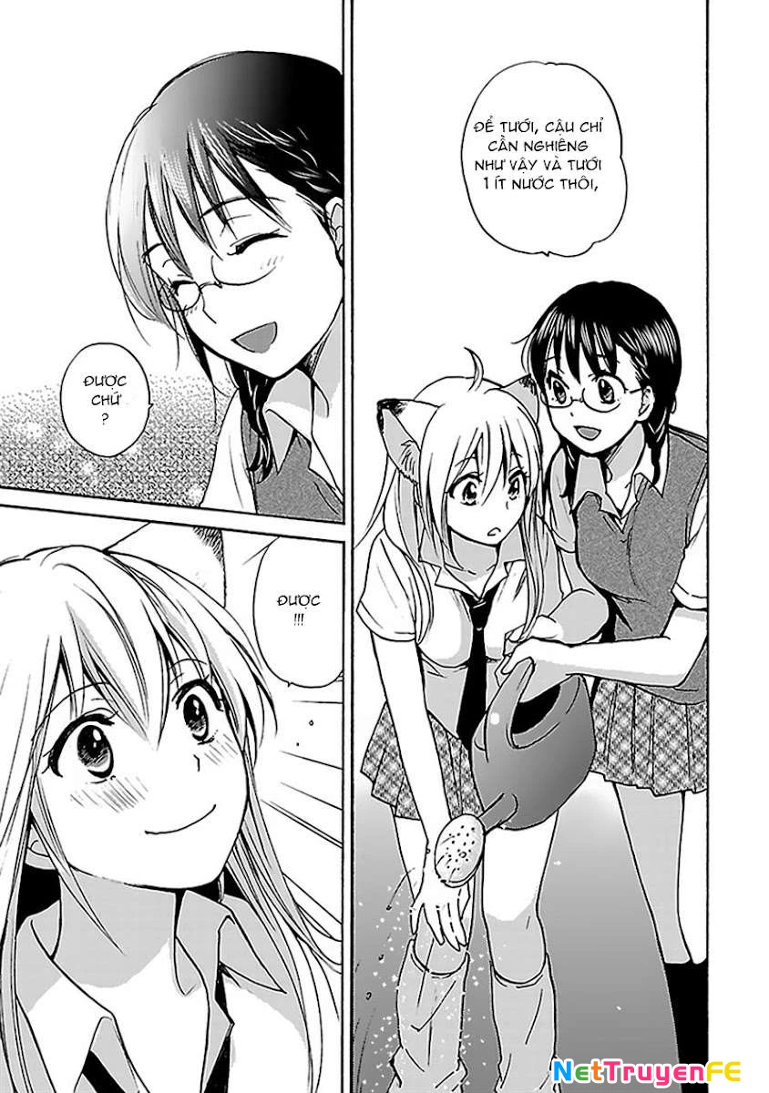 Come Come Vanilla! Chapter 5 - Trang 3