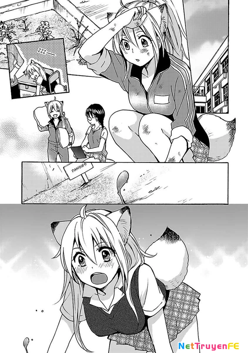 Come Come Vanilla! Chapter 5 - Trang 3