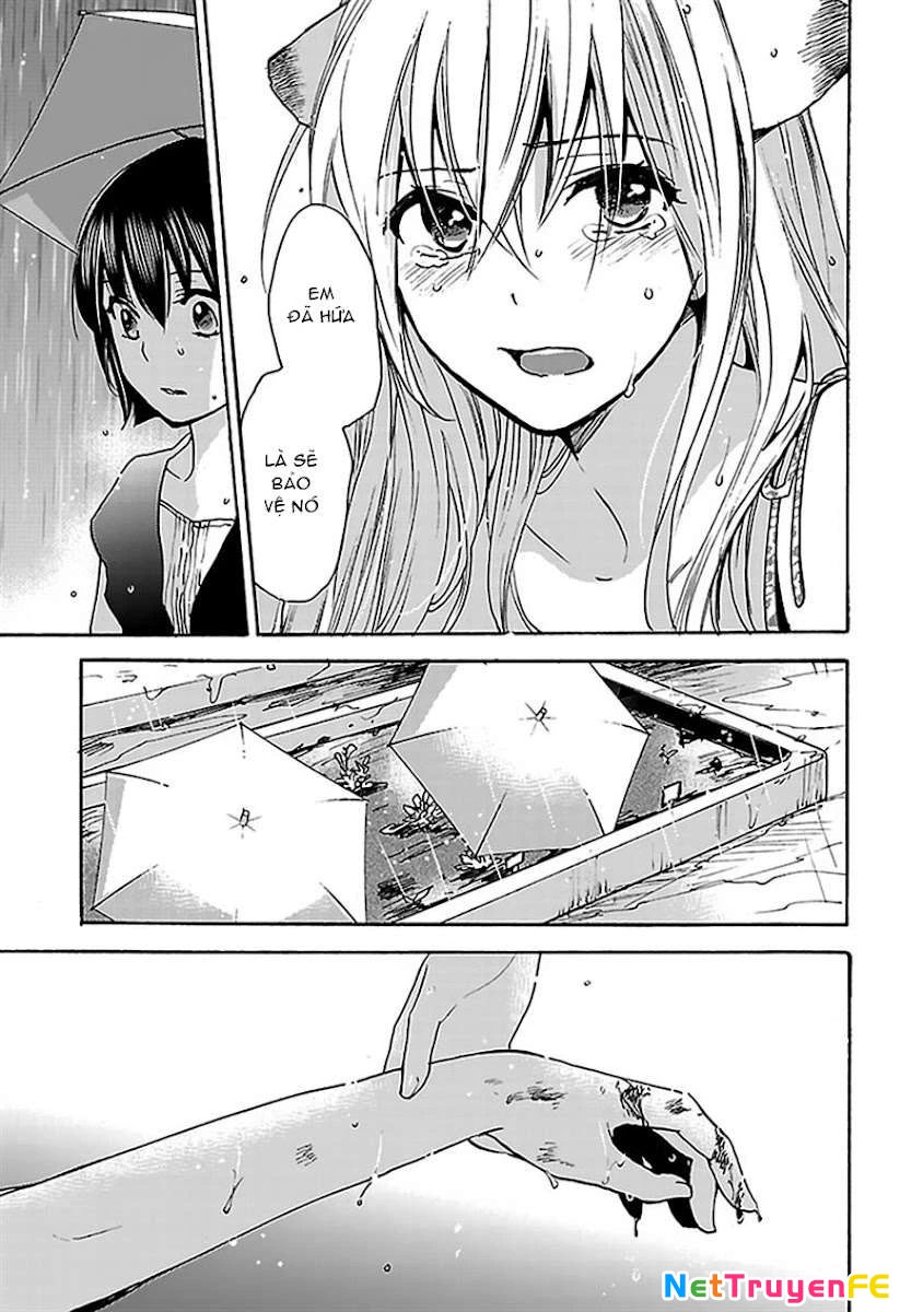 Come Come Vanilla! Chapter 5 - Trang 3