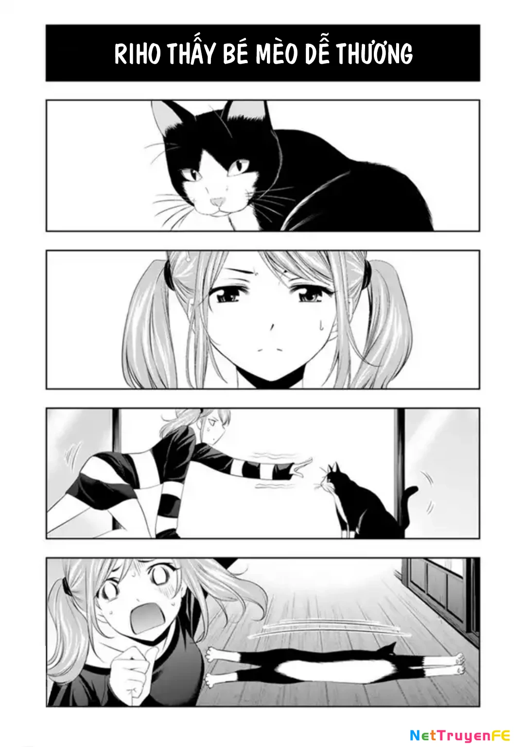 Quán Cà Phê Nữ Thần Chapter 47.5 - Next Chapter 48