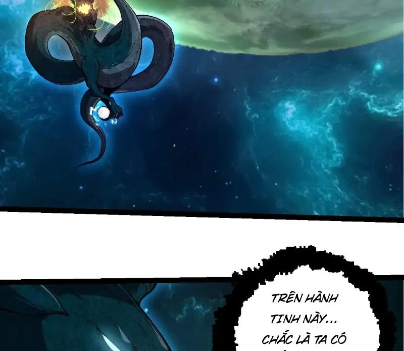 Chuyển Sinh Thành Liễu Đột Biến Chapter 284 - Trang 4