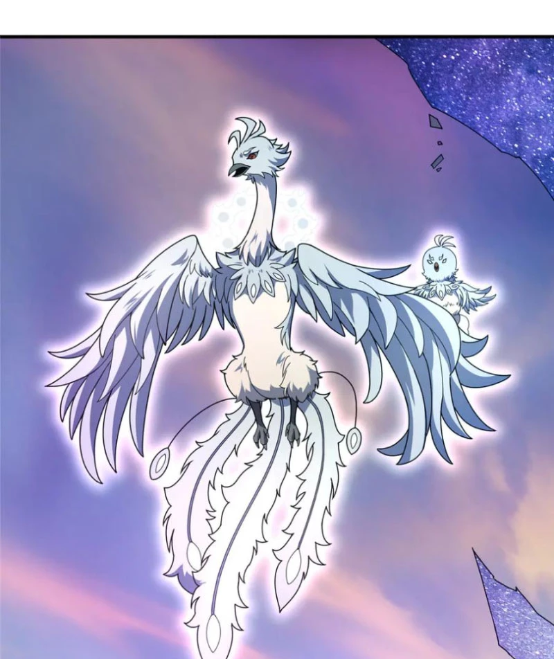 Thần Sủng Tiến Hóa Chapter 349 - Trang 4