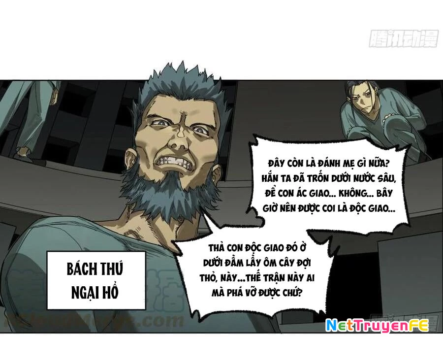 Truyền Võ Chapter 259 - Trang 4