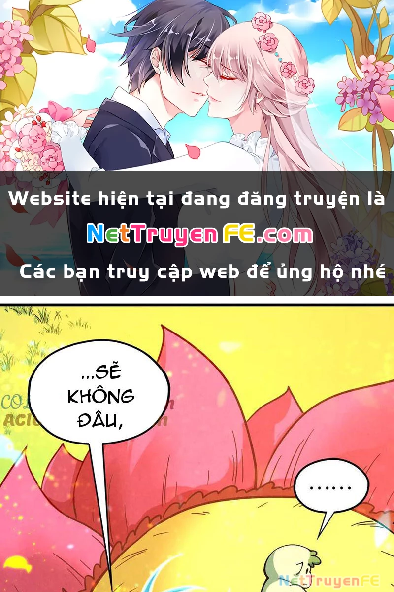 Vạn Cổ Chí Tôn Chapter 355 - Trang 4