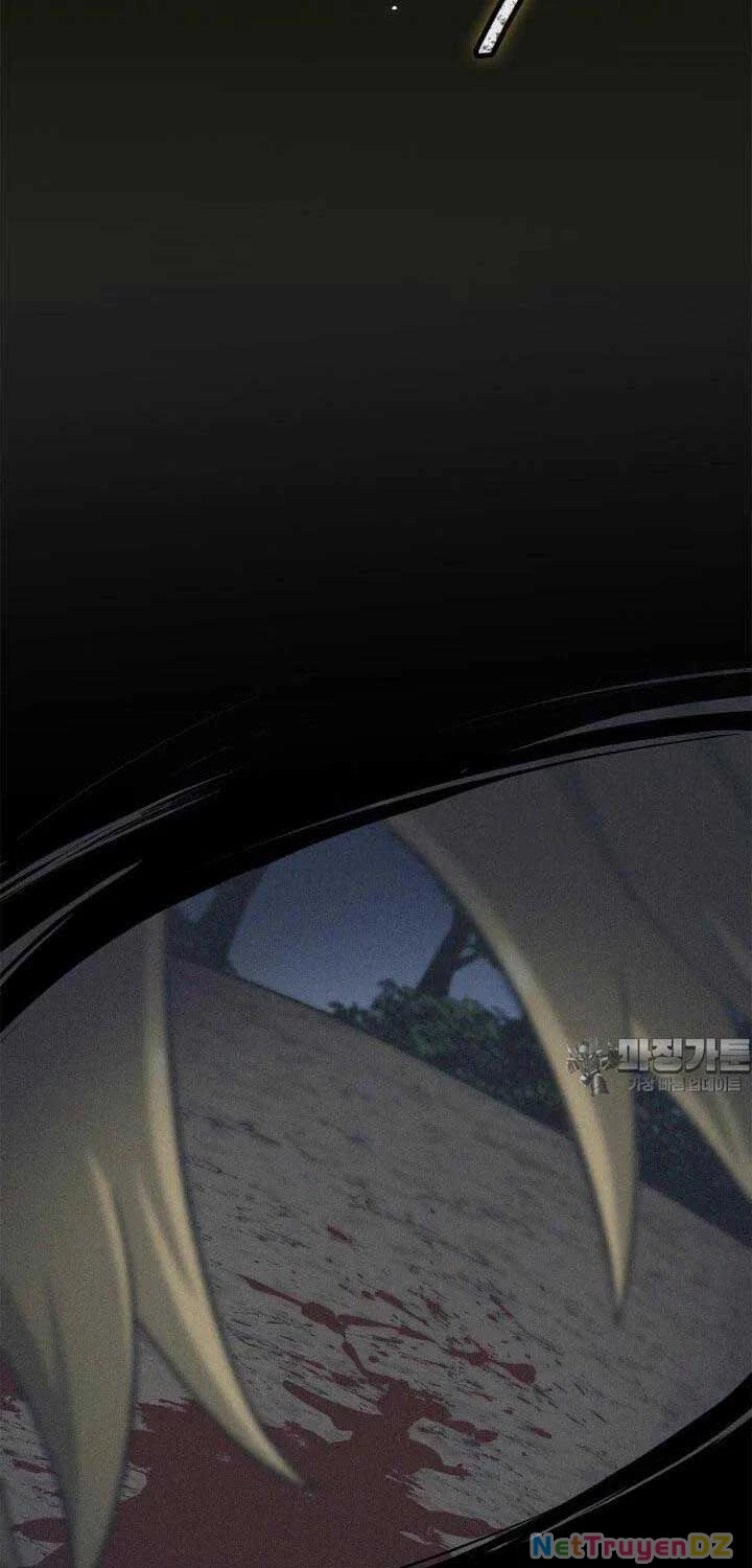 Nhà Vô Địch Kalli Chapter 84 - Trang 4