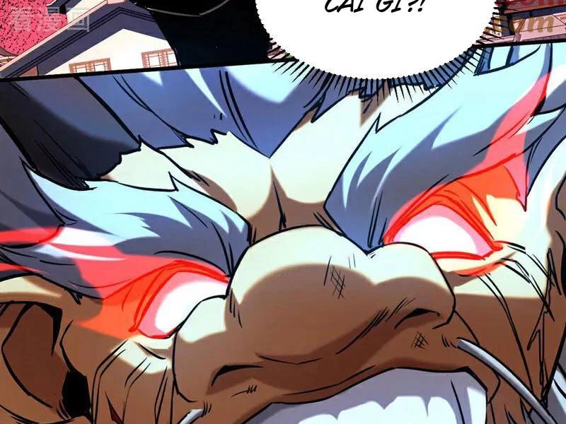 Đệ Tử Tu Luyện Còn Ta Thì Lười Biếng Chapter 121 - Trang 4