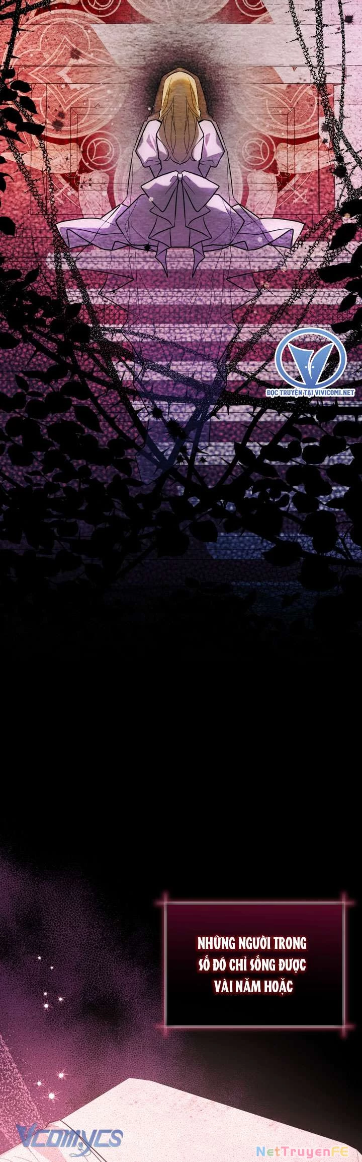 Bé Cá Voi Sát Thủ Phản Diện Chapter 38 - Next Chapter 39