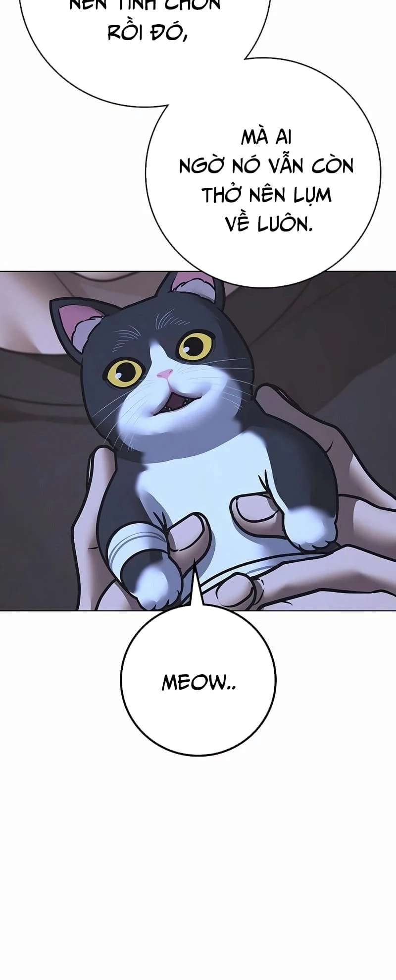 Nhiệm Vụ Đời Thật Chapter 136 - Trang 4