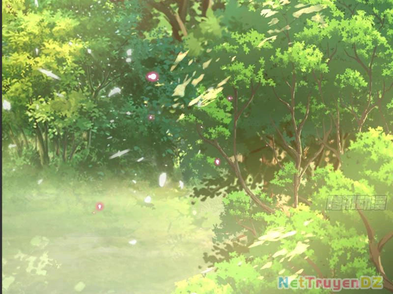 Hệ Thống Hèn Mọn Quỳ Xuống Cầu Xin Ta Vô Địch Chapter 1 - Trang 3