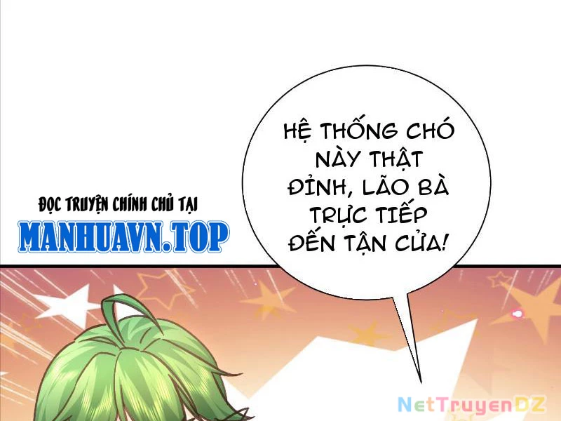 Hệ Thống Hèn Mọn Quỳ Xuống Cầu Xin Ta Vô Địch Chapter 2 - Trang 3