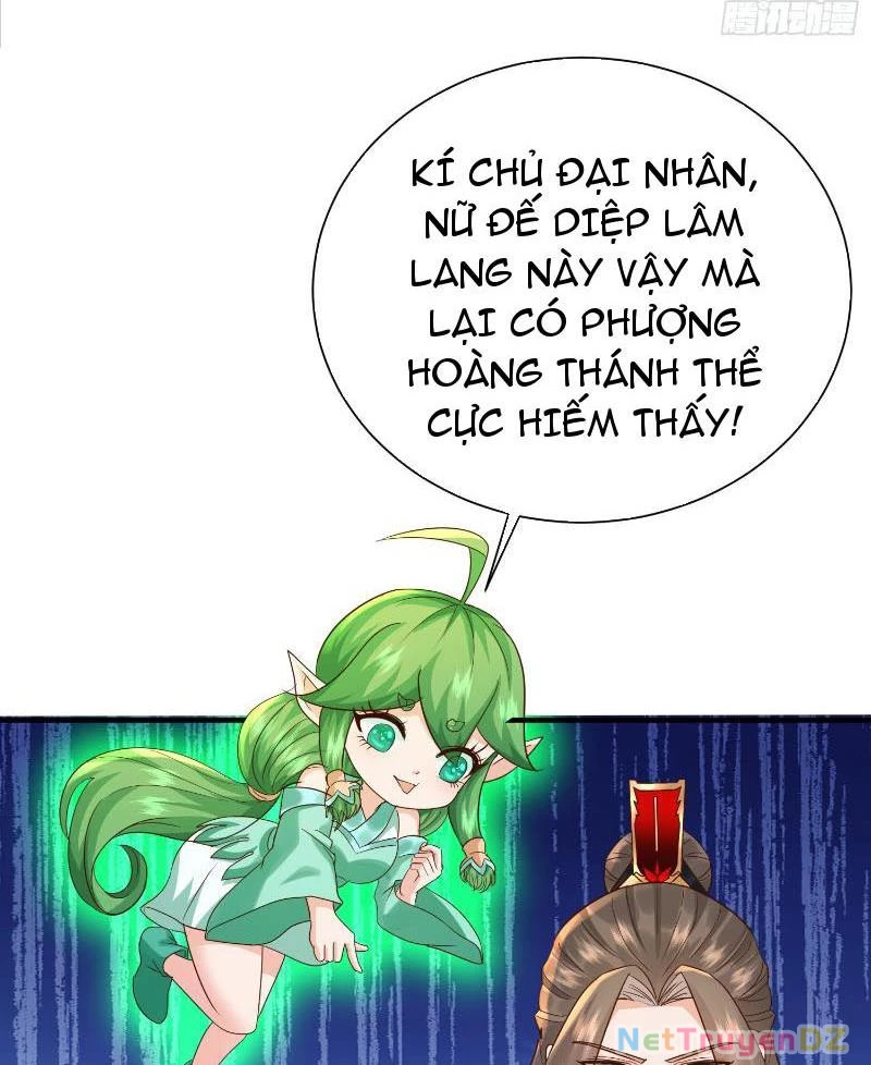 Hệ Thống Hèn Mọn Quỳ Xuống Cầu Xin Ta Vô Địch Chapter 3 - Trang 3