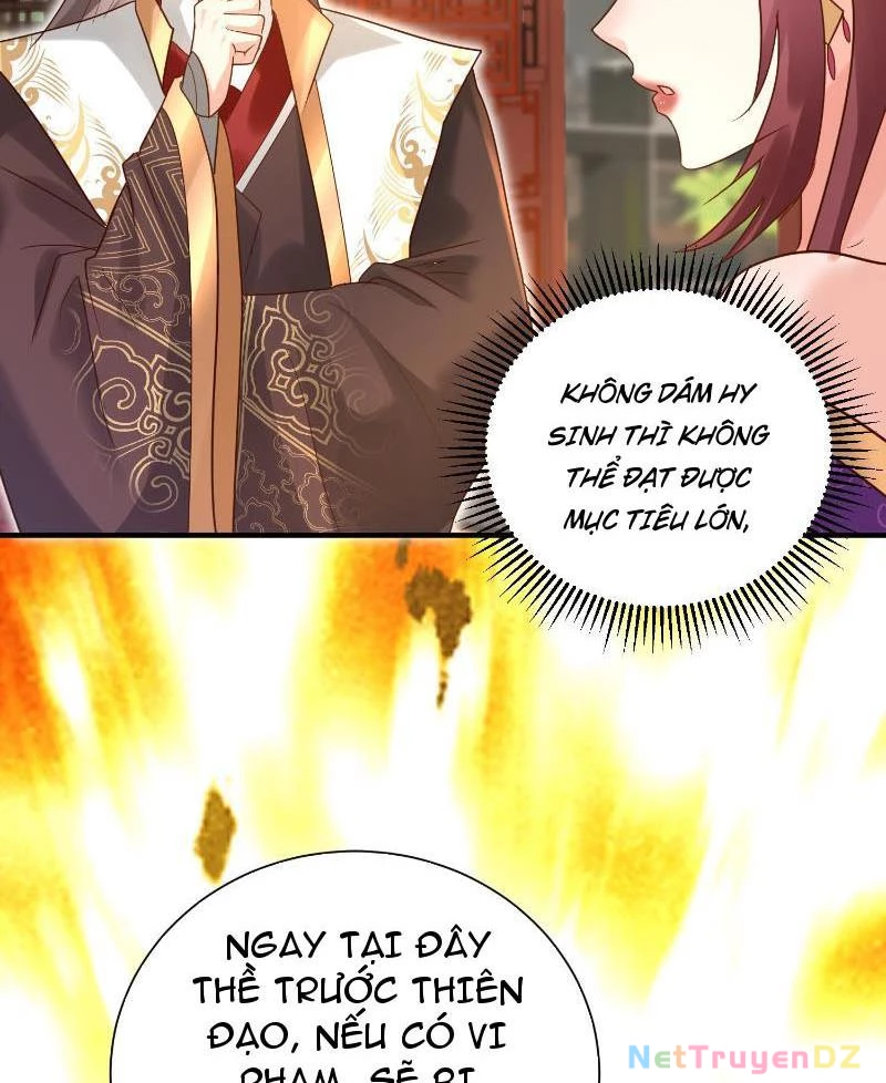 Hệ Thống Hèn Mọn Quỳ Xuống Cầu Xin Ta Vô Địch Chapter 3 - Trang 3